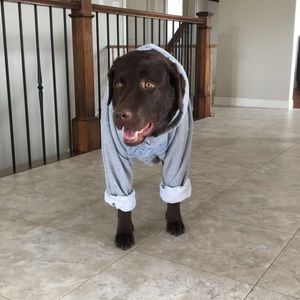 Meet your Posher, Jess